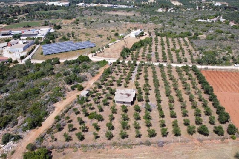 Mouzouras Kreta, Mouzouras: Flaches Grundstück mit Panoramablick zu verkaufen Grundstück kaufen